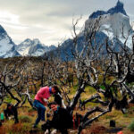 Parques Nacionales De Chile Como Postular A Trabajos